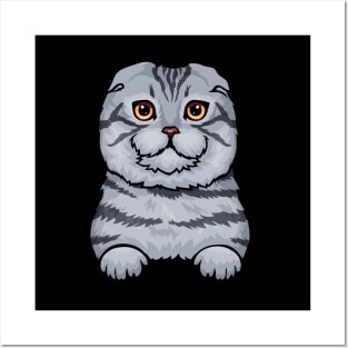 Scottish Fold Cat Posters and Art